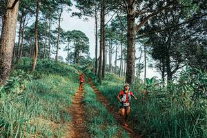 BIB: 
                            <button type="button" onclick="openModal(25652489)" class="btn btn-primary btn-sm float-right btn-popup" data-toggle="modal" data-target=".modal-high-quality">
                        <i class="fas fa-shopping-cart"></i> Add to Cart
                    </button>
                                            <button type="button" onclick="isThisMe(25652489, true)" class="btn btn-success btn-sm float-right btn-popup btn-isme hidden" data-toggle="tooltip" data-placement="bottom" title="นี่คือรูปของคุณใช่ไหม คลิกที่นี่เพื่อเอาเข้าอัลบั้ม">
                        <i class="fas fa-plus"></i> Add to album
                    </button>
                    <button type="button" onclick="isThisMe(25652489, false)" class="btn btn-warning btn-sm float-right btn-popup btn-isnotme hidden">
                        <i class="fas fa-ban"></i> Remove from album
                    </button>